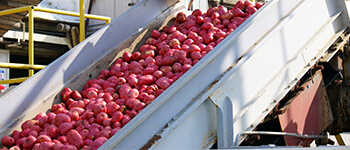 Food Manufacturing & Processing