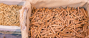 Biomass Industry